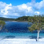 tag along tours