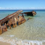 tag along tours