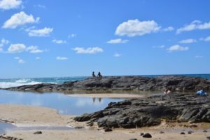 2-3 Day Tag Along Tour