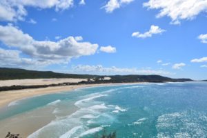 2-3 Day Tag Along Tour